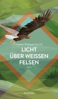 Welskopf-Henrich, Nacht über der Prärie (Bd. 1)